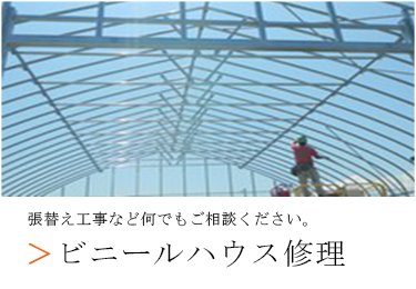 ビニールハウス修理